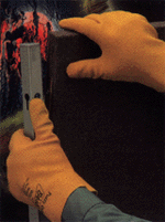Fuzzy Duck PVC Gloves
